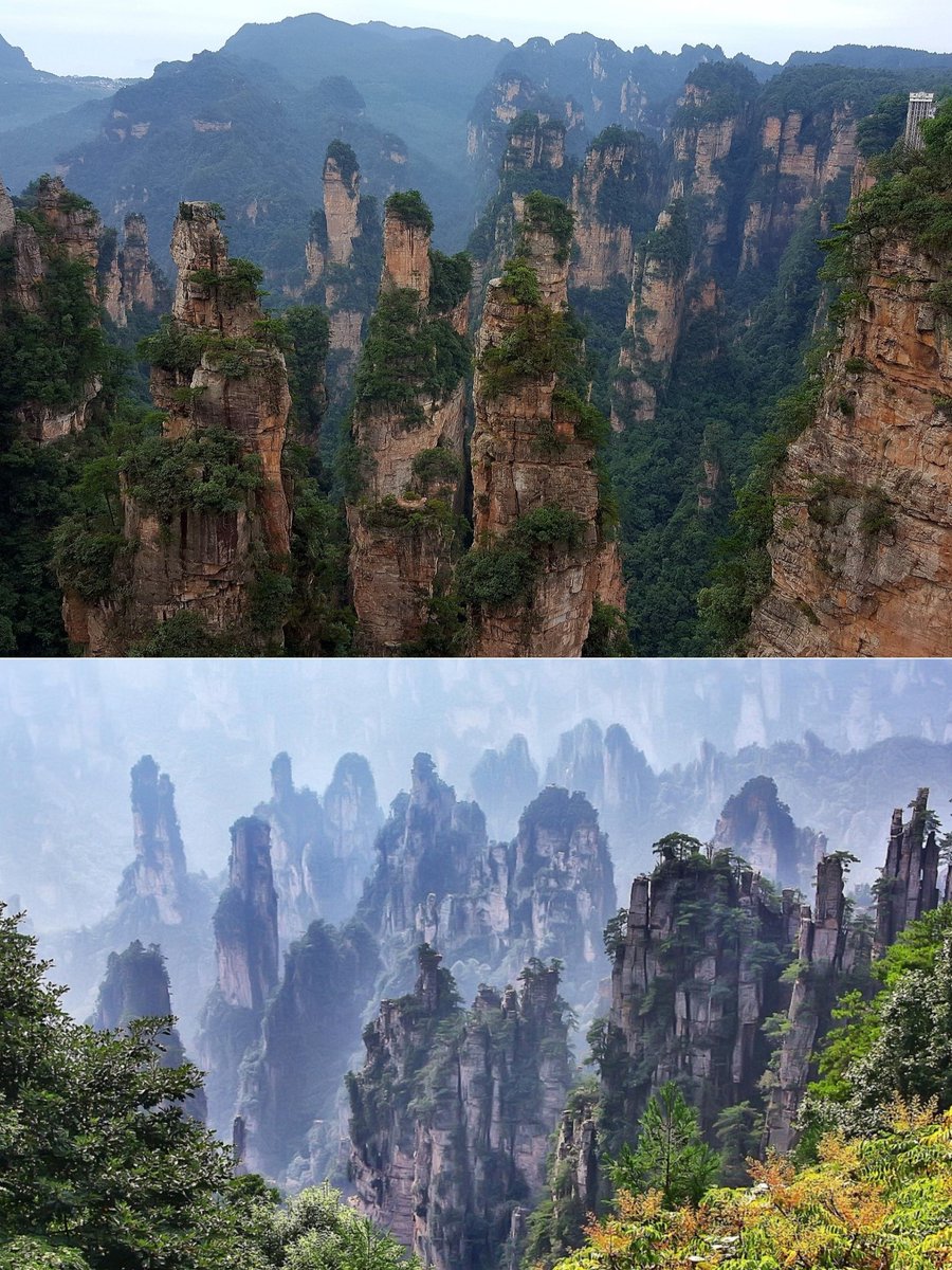 Geography Host (@geographyhost) on Twitter photo Wulingyuan scenic area in Hunan province of China ๐จ๐ณ is known for its sandstone pillars, many over 650 ft (200 m) tall. Wulingyuan scenic area in Hunan province of China ๐จ๐ณ is known for its sandstone pillars, many over 650 ft (200 m) tall.