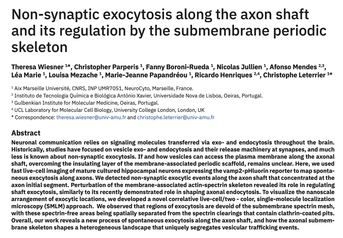 Our new preprint is up! This is the main postdoc work of Theresa Wiesner, focusing on exocytosis along the axon shaft and its regulation by the submembrane actin-spectrin scaffold: biorxiv.org/content/10.110…
Read the thread below for a summary of our findings 🧵1/11