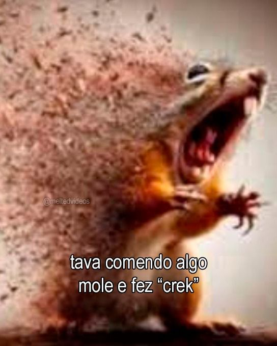 Terror do Cotidiano (@terrorcotidiano) on Twitter photo 