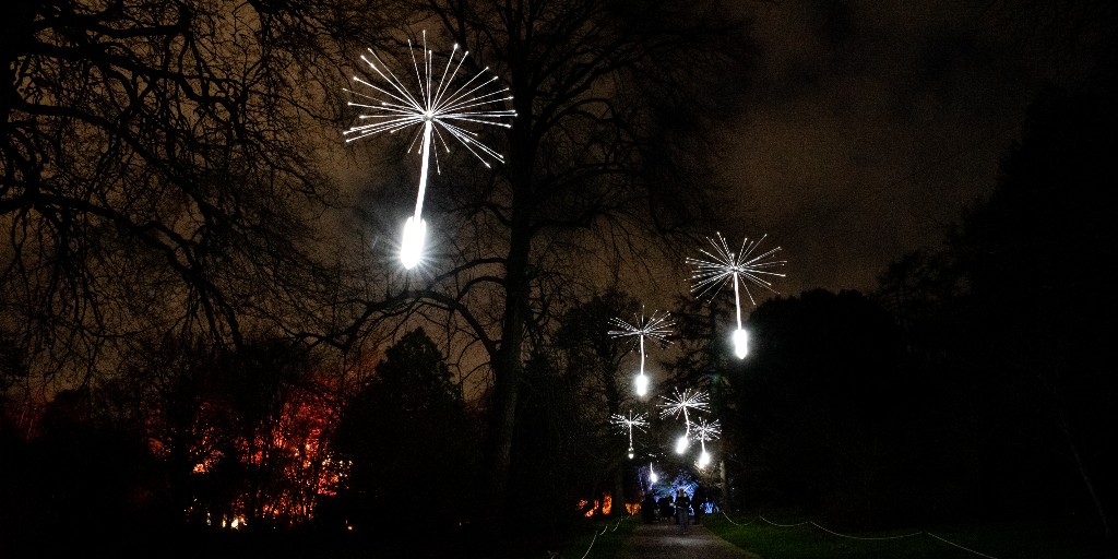 chicagobotanic's tweet photo. Get ready to see a dazzling trail like no other! This year’s #LightscapeChicago debuts Light a Wish, a new installation from Israel artist OGE Design Group. Enlarged, fuzzy-like seeds dangle in the air and glow as if they’re breathing. Book tickets now: https://t.co/i37wadnG3b https://t.co/kH0I5rsuVv