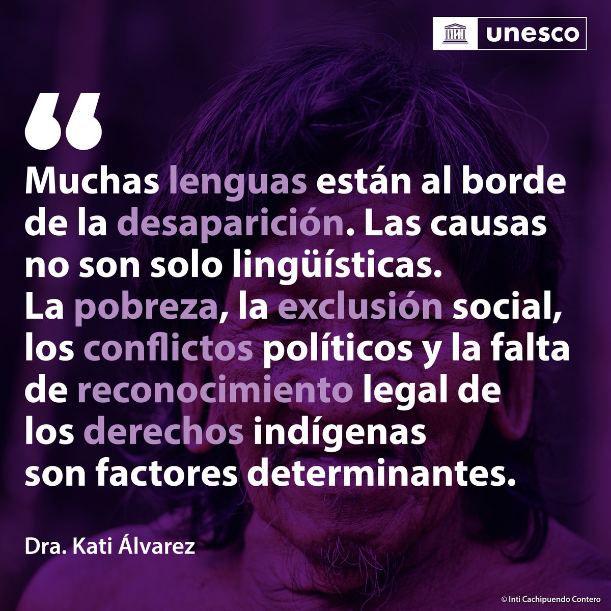 International Decade of Indigenous Languages tweet media