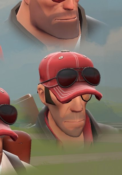 his greed sickens me. what do you need 2 aviators for.