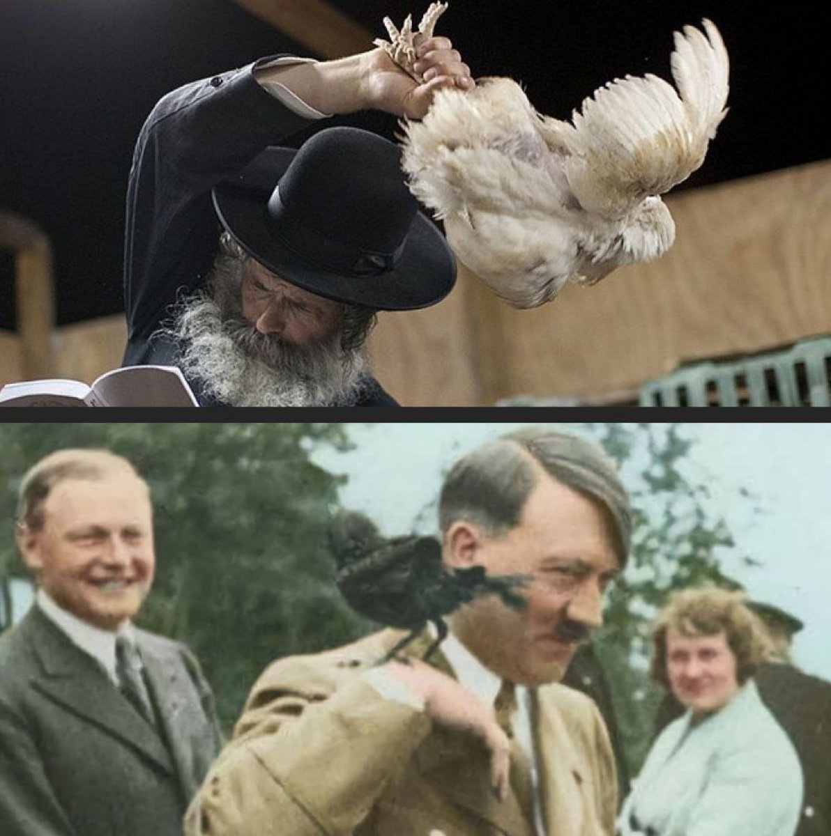 "Since compassion for animals is so intimately associated with goodness of character, it may be confidently asserted that whoever is cruel to animals cannot be a good man" - Arthur Schopenhauer