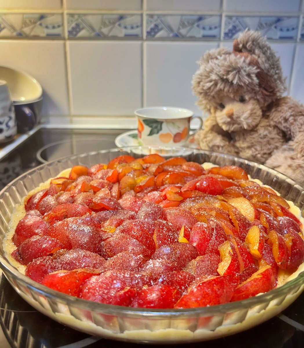 #Plumtorte ready for the oven 👍🏻 Jacques decided we need a sweet treat today.
