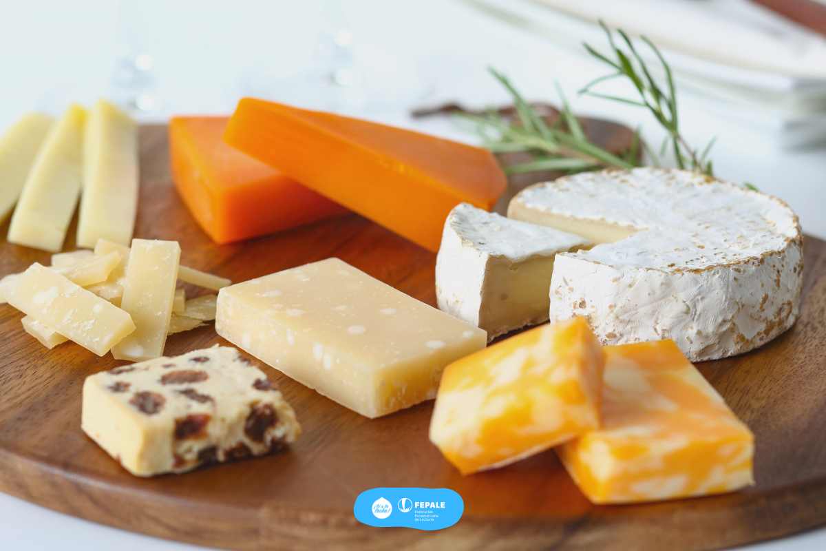 🧀❌ No hay evidencia científica de que el queso cause pesadillas.
Un estudio en Frontiers in Psychology solo mostró percepciones subjetivas (5,5% de los encuestados).
👩‍⚕️ Especialistas aclaran: los lácteos incluso pueden mejorar la calidad del sueño.
Nota completa en nuestra web