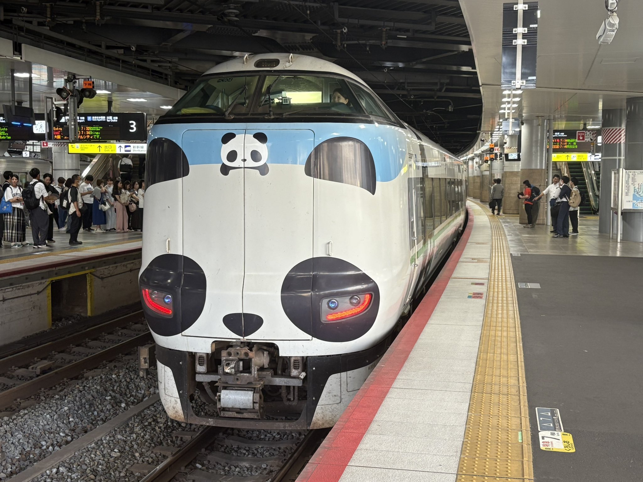 ここちゃん Skit] What would life be like if Koko-chan were a twin