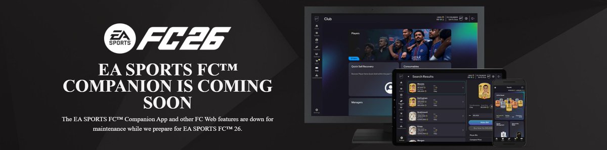 RF COINS tweet media