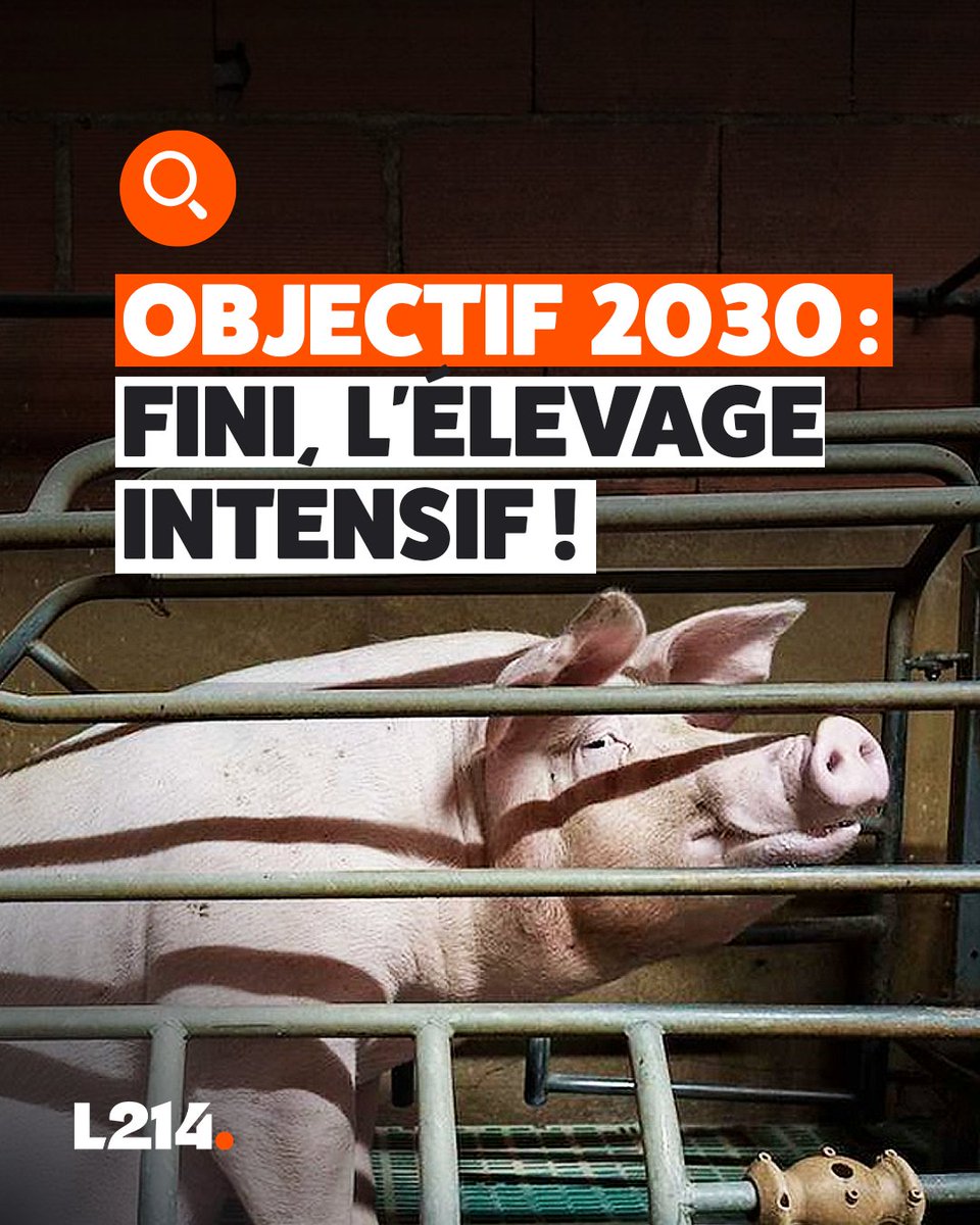 L214 éthique & animaux tweet media