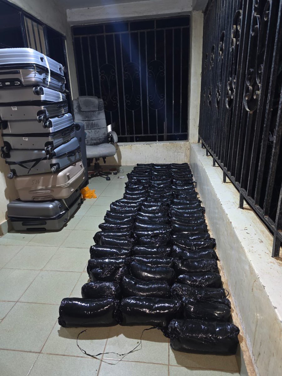 DLEAG Seizes Over 400,000 Ecstasy Pills in Historic Gambia Drug Bust

In a landmark operation, the Drug Law Enforcement Agency, The Gambia (DLEAG), seized 401,767 pills of suspected ecstasy, valued at approximately 40 million dalasis (D40,000,000), marking one of the largest drug