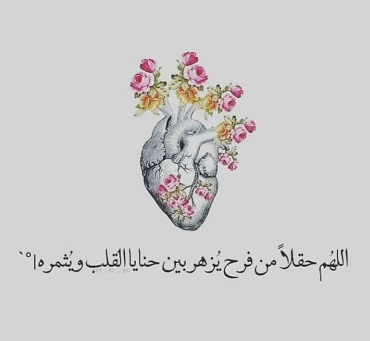 •┈┈••✦🍃🌸🍃✦••┈┈•

اللهم #حقلآ من فرح يزهر بين حنايا 
القلب #ويثمره
#مساء_الخير_والسعاده_للجميع
•┈┈••✦🍃🌸🍃✦••┈┈•