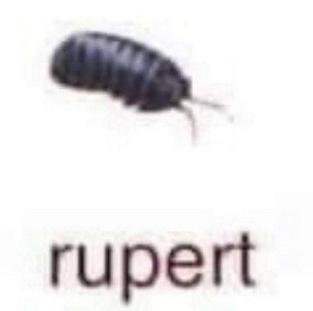 Mr. Meat Scraps (@reallyloudfart) on Twitter photo 