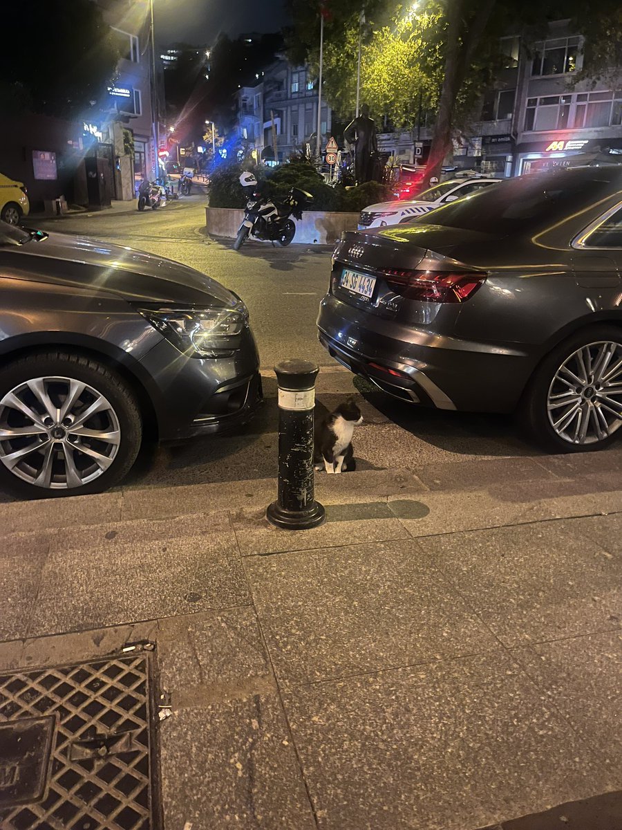 Benim rahmetlinin aynısı 💙🙏