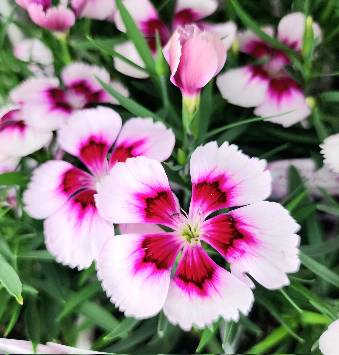 おはようございます😀

朝起きたら雨が降っていた🌧️😮
6時頃までには止むらしい？

きょうは地元で🚚仕事だから
少しは気が楽にできます

ニコッと笑顔で
安全運転で頑張りましょう🤗