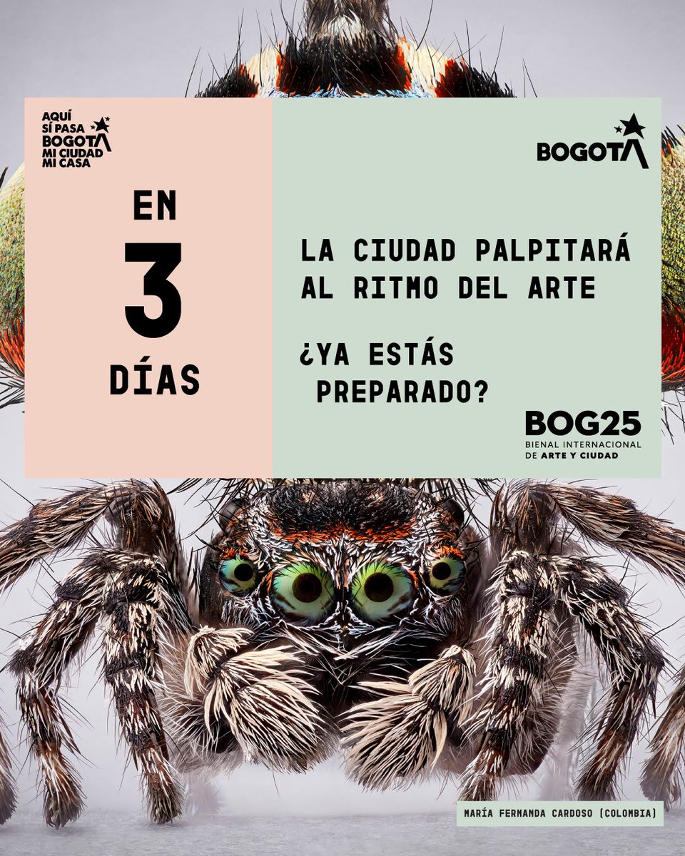 Secretaría de Cultura de Bogotá tweet media