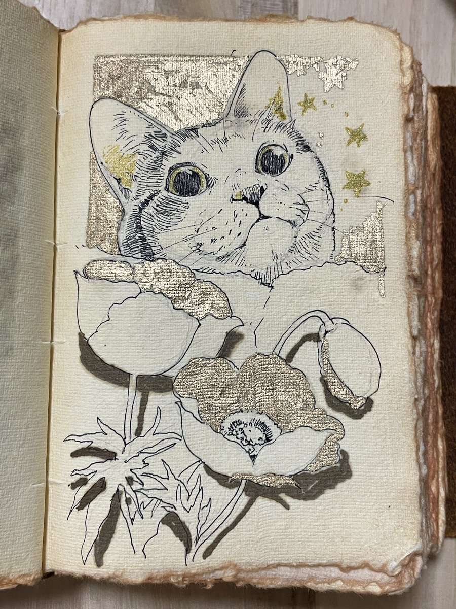 ポピー
#アナログ
#イラスト
#ペン画
#illustration
#猫