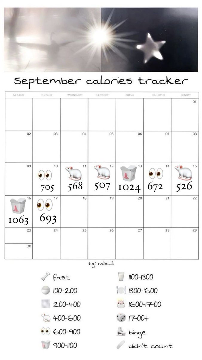 ariisuux's tweet photo. 17th of September 2025 
693 calories in total https://t.co/goaJBW42Q0
