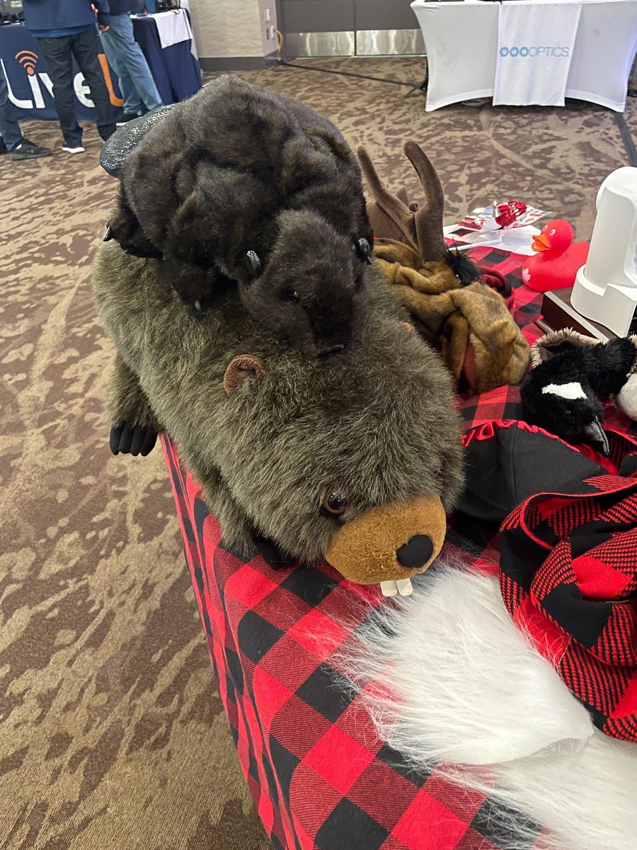 John has had a fantastic start to DVoD 2025! He's even has had a chance to catch up with some friends old &amp; new! 😎🍁 Next stop ➡️ Calgary! 

#Carousel #DVoD2025 #DVoD #digitalsignage #signagesolutions