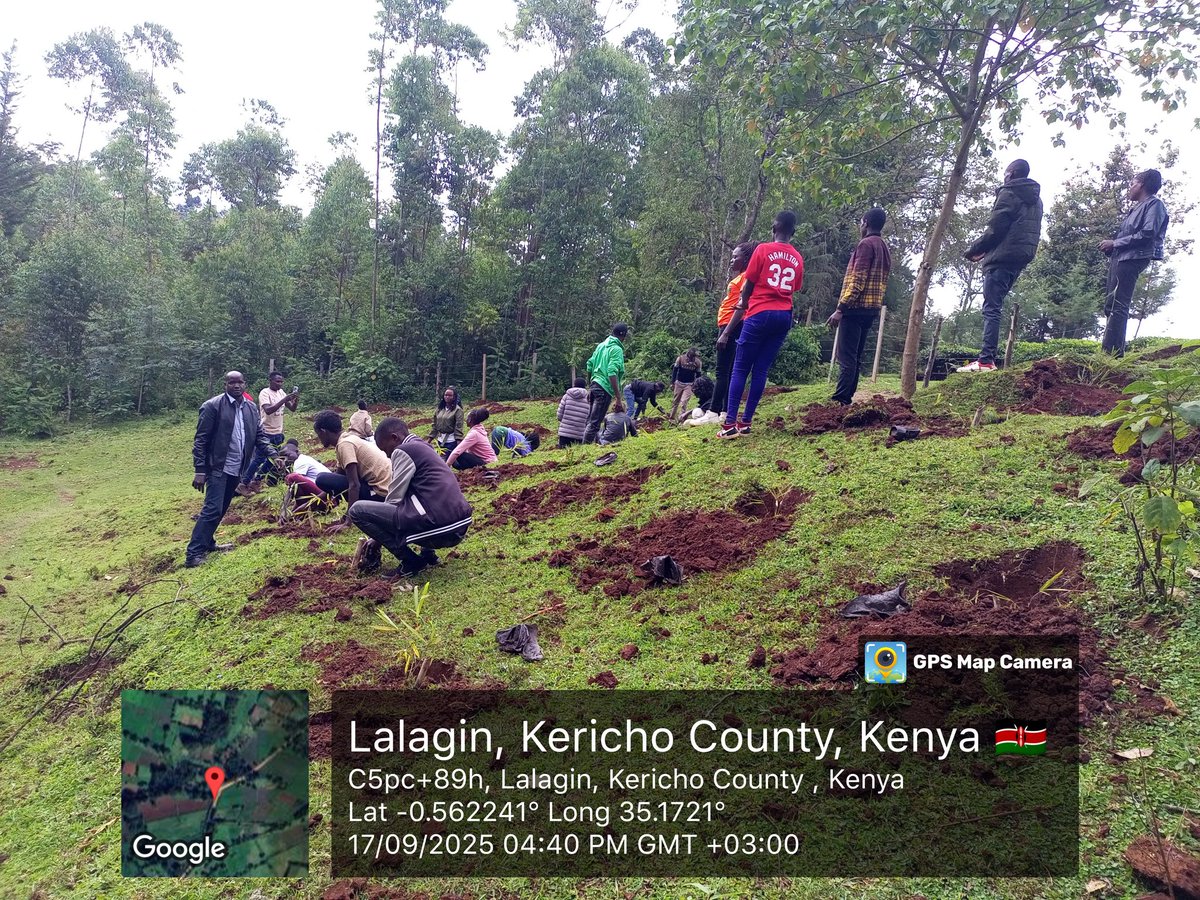 World Bamboo Day Build-up Activities 🎋
It was exciting working with passionate students from the University of Kabianga as we set the stage for tomorrow’s big celebration.

📍 See you tomorrow, 18th September, at the University of Kabianga for the full event! 🌍✨