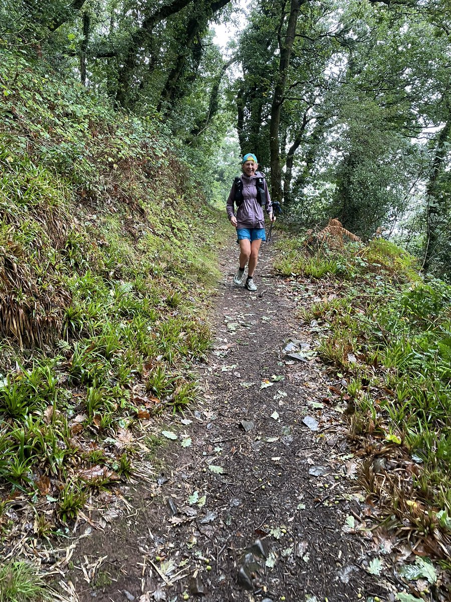 Rob Joules tweet media