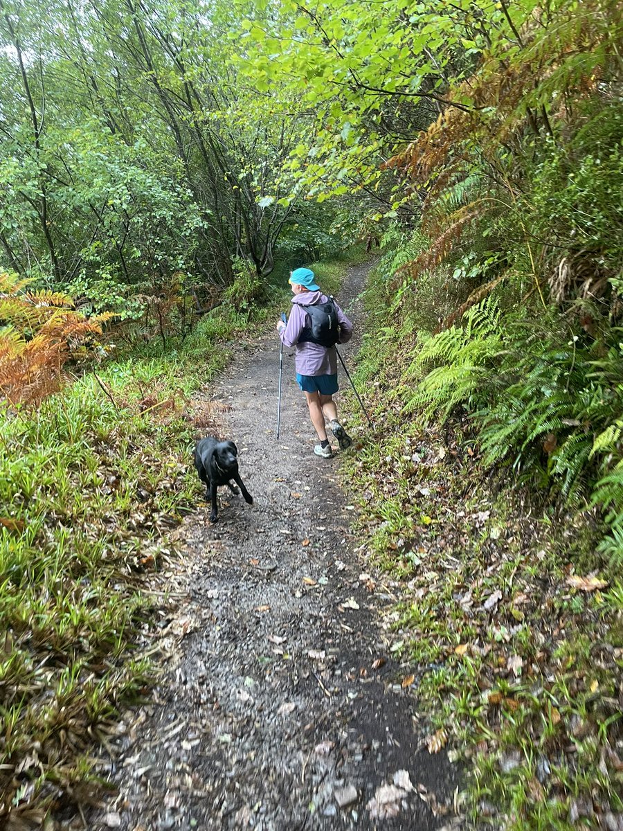 Fantastic to see <a href="/lucygoss/">lucy gossage</a> on her epic <a href="/swcoastpath/">South West Coast Path Association</a> #fastestknowntime #selfsupported #trailrun. Running along Woody bay section <a href="/NorthDevonNT/">NorthDevonNT</a> #exmoor. Super inspiring