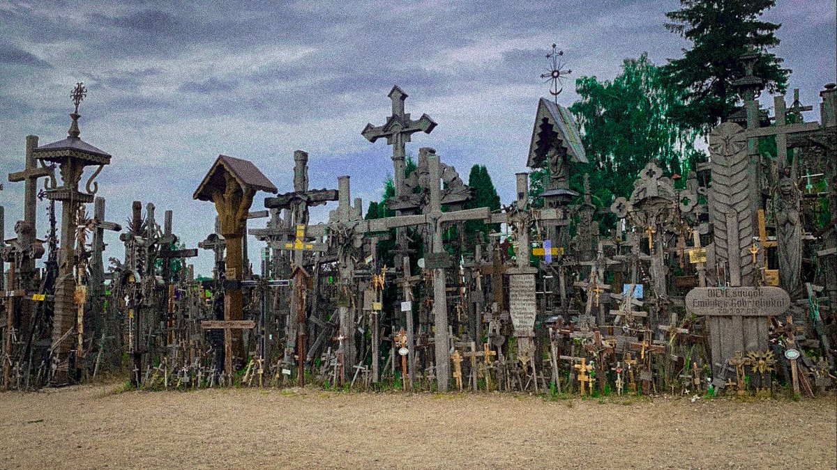 Emily G. Thompson tweet media