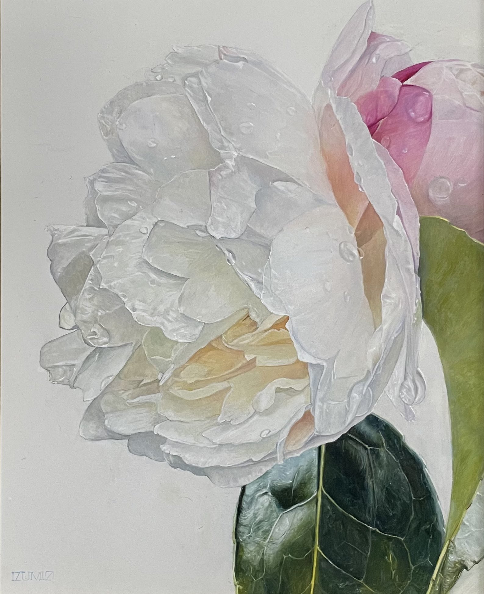 【F30号】甘夏を剥く oil painting 原画 絵画 F30号】甘夏を剥く oil painting 原画 絵画