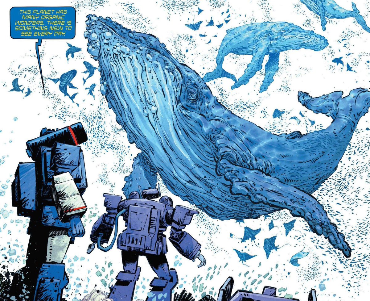 Whale on whale crime