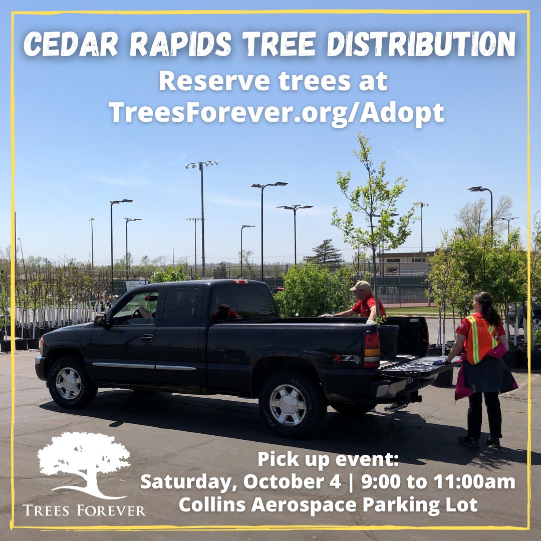 CityofCRiowa's tweet image. 🌳 Fall Tree Distribution for Cedar Rapids residents! Get reduced-cost, high-quality trees from Trees Forever to help restore our community canopy. Reserve yours today 👉 ayrs.io/rscpuj 🌱 #ReLeafCR #CedarRapids #TreesForever