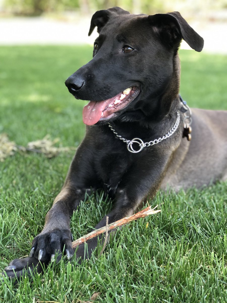 Chris Kirschner tweet media