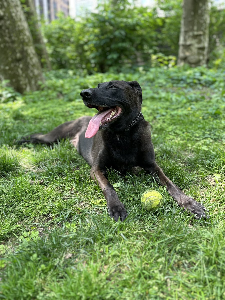 Chris Kirschner tweet media