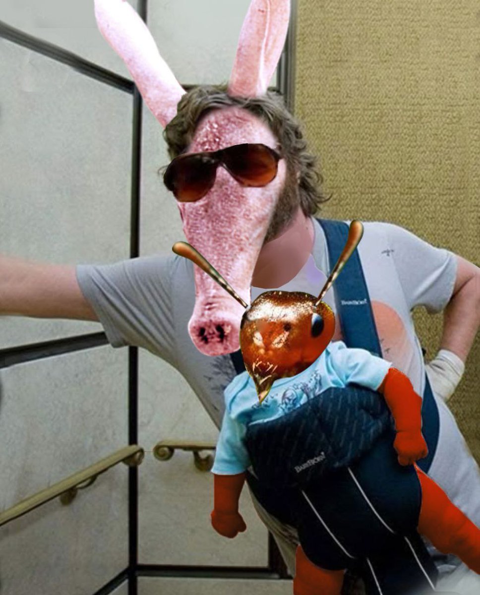 Just a single Aardvark dad trying to raise his ant the right way