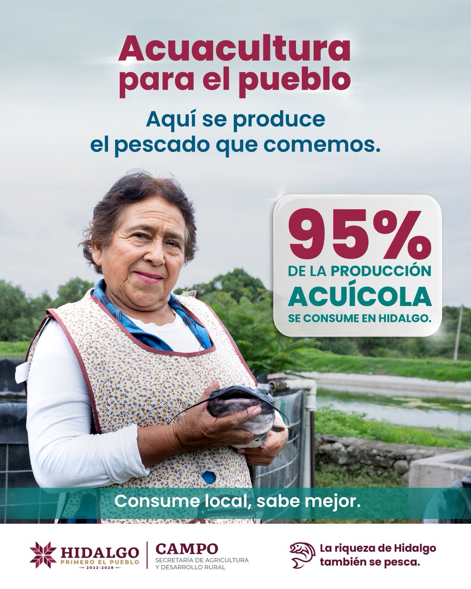 gobiernohidalgo's tweet image. 🐟💧En Hidalgo cada día nace frescura y calidad.
Cada pescado en tu mesa es resultado del esfuerzo de nuestras productoras y productores acuícolas, que con su labor fortalecen la economía local.
#PrimeroElCampo