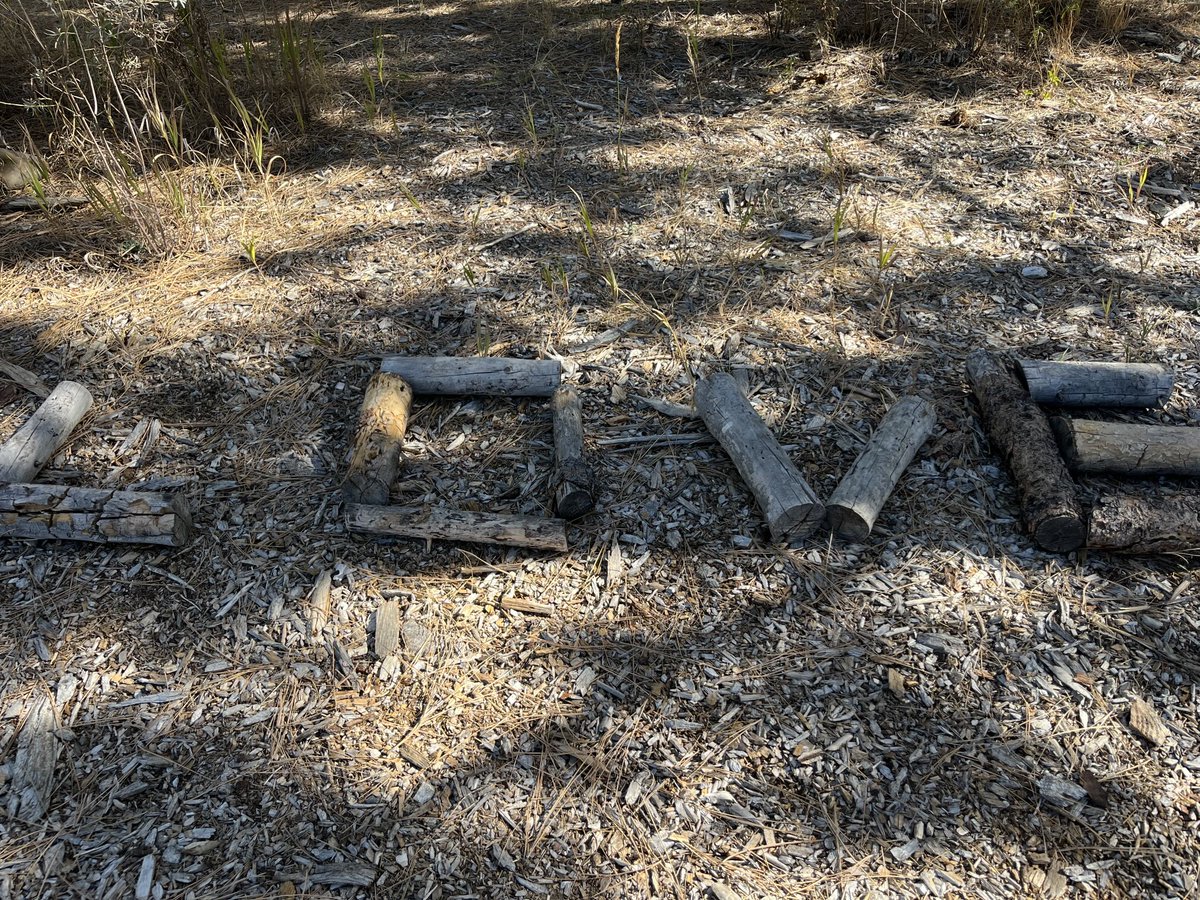 TimRhode5's tweet image. Love! Love all whom you love with all your might. Reach out. Listen! Hug deeper. Laugh harder. Pray more. Cry when you need to. Get OUT in nature more. Turn off and tune IN. Just ❤️