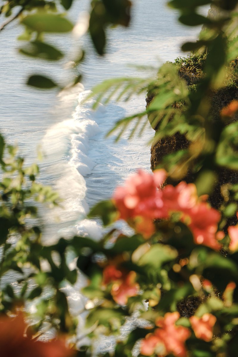 simonribc's tweet image. Island days in Bali