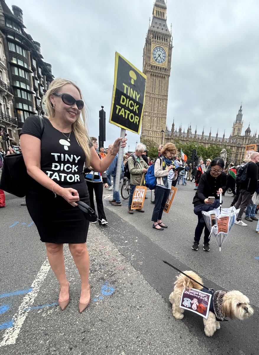 allyc375's tweet image. As ever there were some brilliant placards on the  #StopTrumpProtest march. Some could only have been British. You see @POTUS, not only do we find you abhorrent, we also find you ridiculous.  💪🇬🇧
