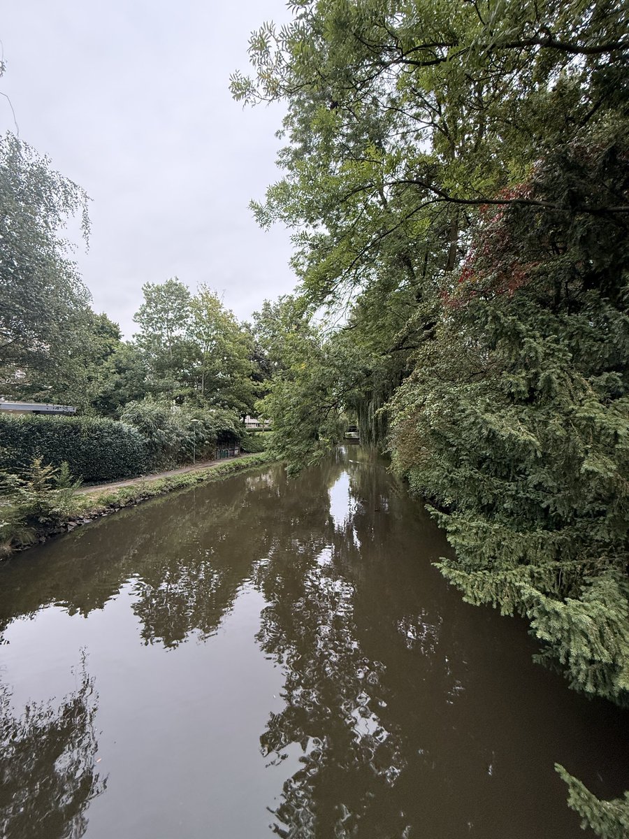 Zometeen geef ik een lezing in de gemeenteraad van Eindhoven over Rechten van de Natuur. 

Loop ik zomaar tegen de prachtige Dommel aan. Als een slagader door de stad. 

Ik weet wel waar je zou kunnen beginnen…