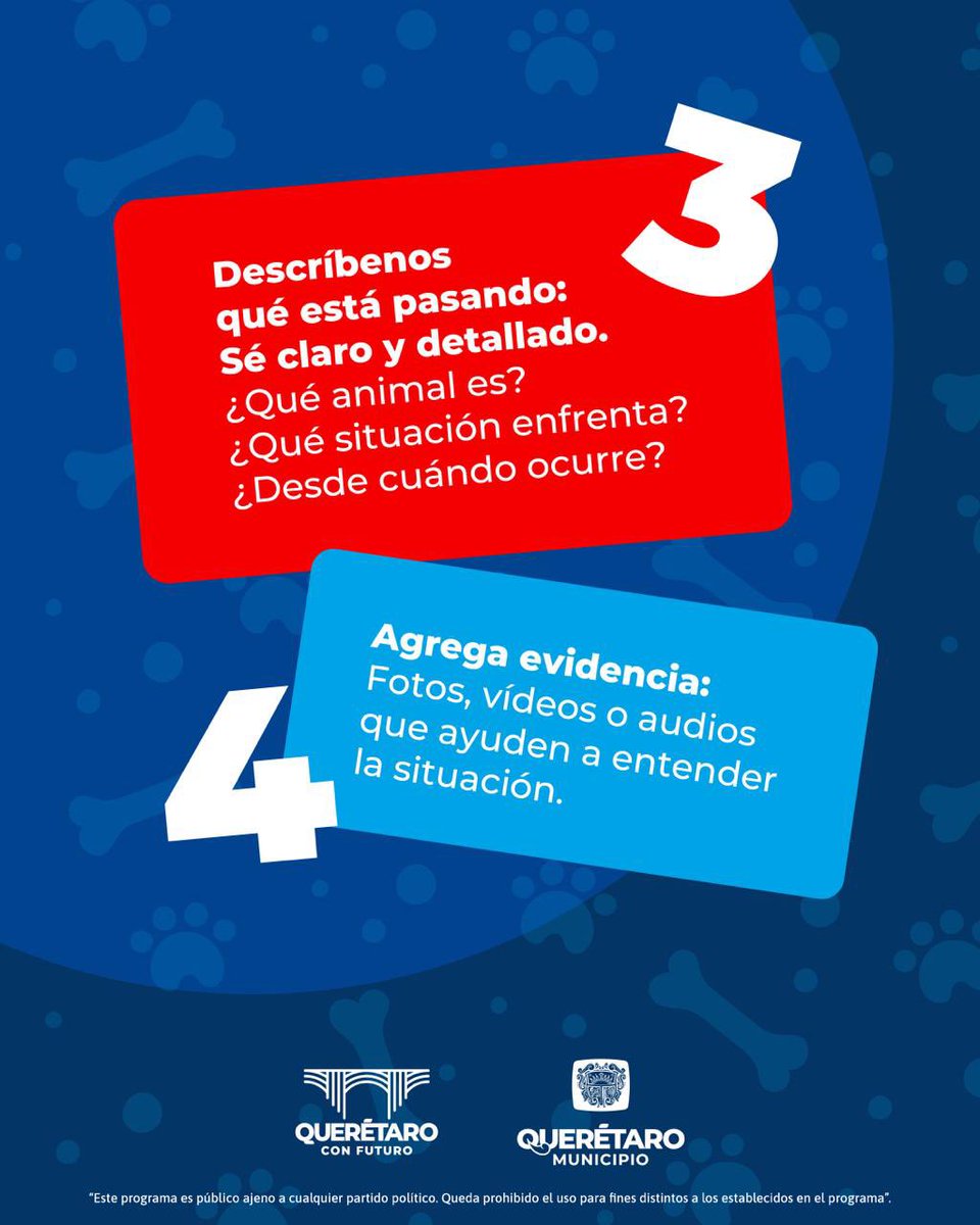 LennyzChacon's tweet photo. ¿Quieres salvar a un animal en peligro en el Municipio de Querétaro? 🐾📣

📲 Envía un WhatsApp al 442 476 5387 y cambia su historia para siempre.

Tu reporte es confidencial y puede ser la diferencia entre el sufrimiento y una vida digna. 🙌🏼

#PlanOrden #QuerétaroConFuturo https://t.co/oVeSulAuWU