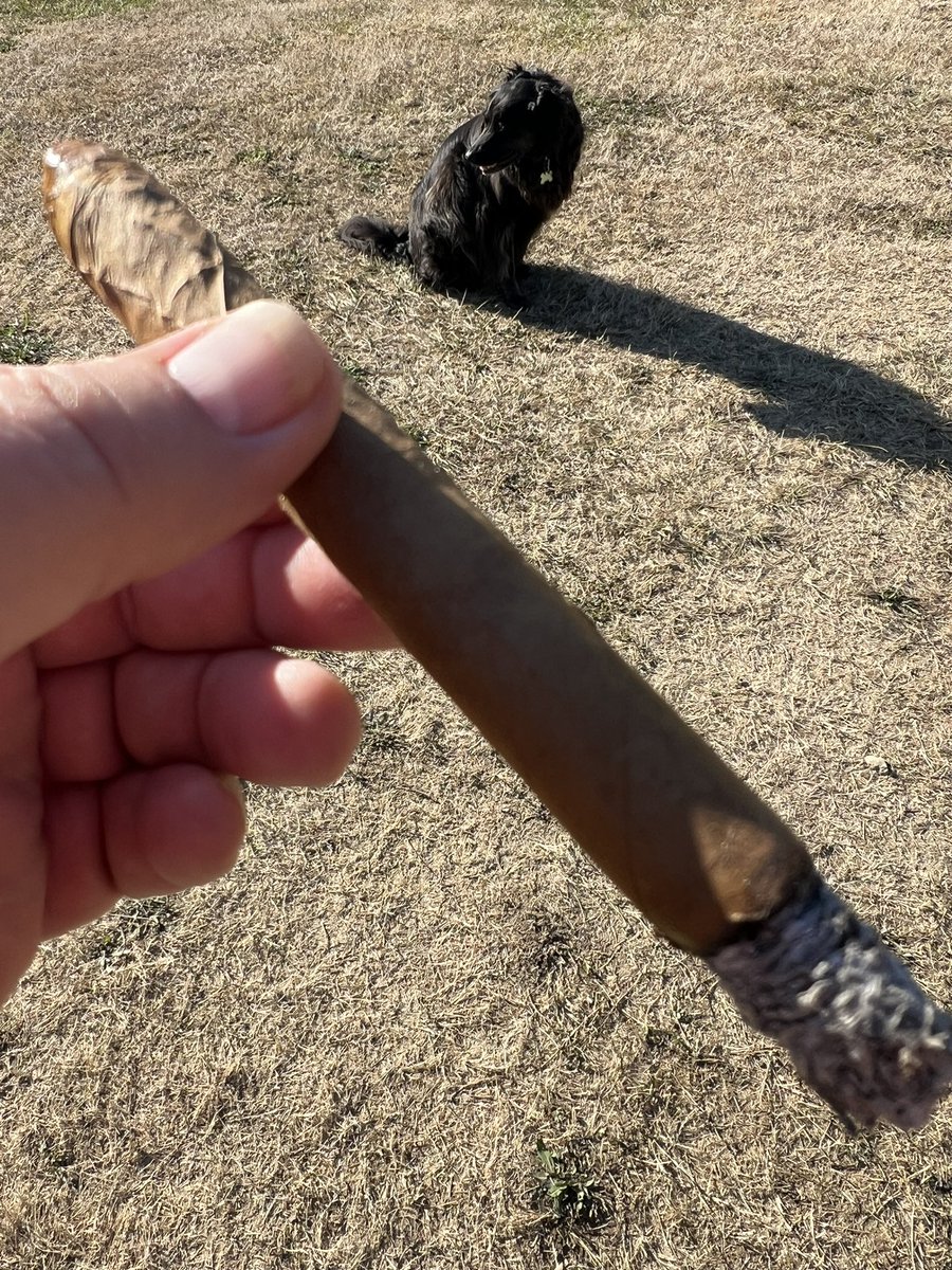 Ed-e Higgins is smoking Arturo Fuente Especiales. Rated with thumbs up! dojoverse.com/news-feed/p/70…