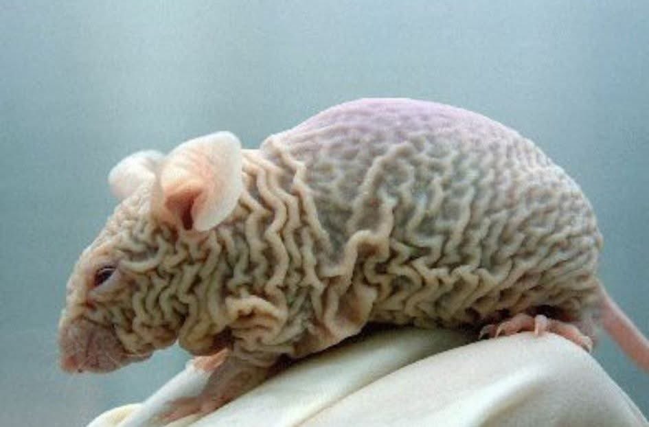 E le boyfriend ya yellow bone e tswa mo swimming pool after 30 minutes 🤧🤧🤧