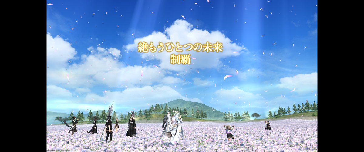 みら🐈 tweet media