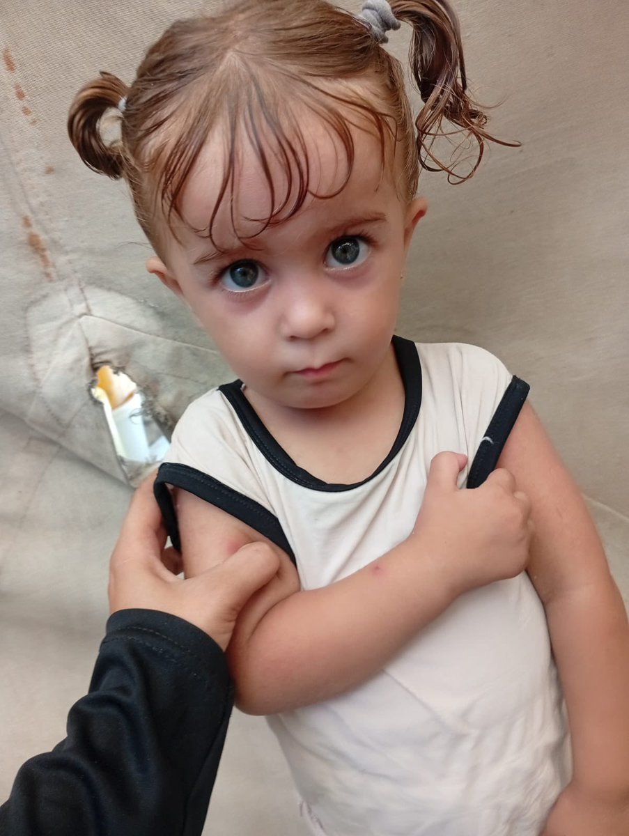 Kat_Zoe's tweet image. Baby Misk STILL needs your help

She has a full-body bleeding 🩸 rash
And it’s getting worse

She can’t afford the high prices of hygiene products, so her skin is always unclean

She needs:
- soap
- clean water
- clean clothes

G0al: $5 / $100‼️

chuffed.org/project/118420