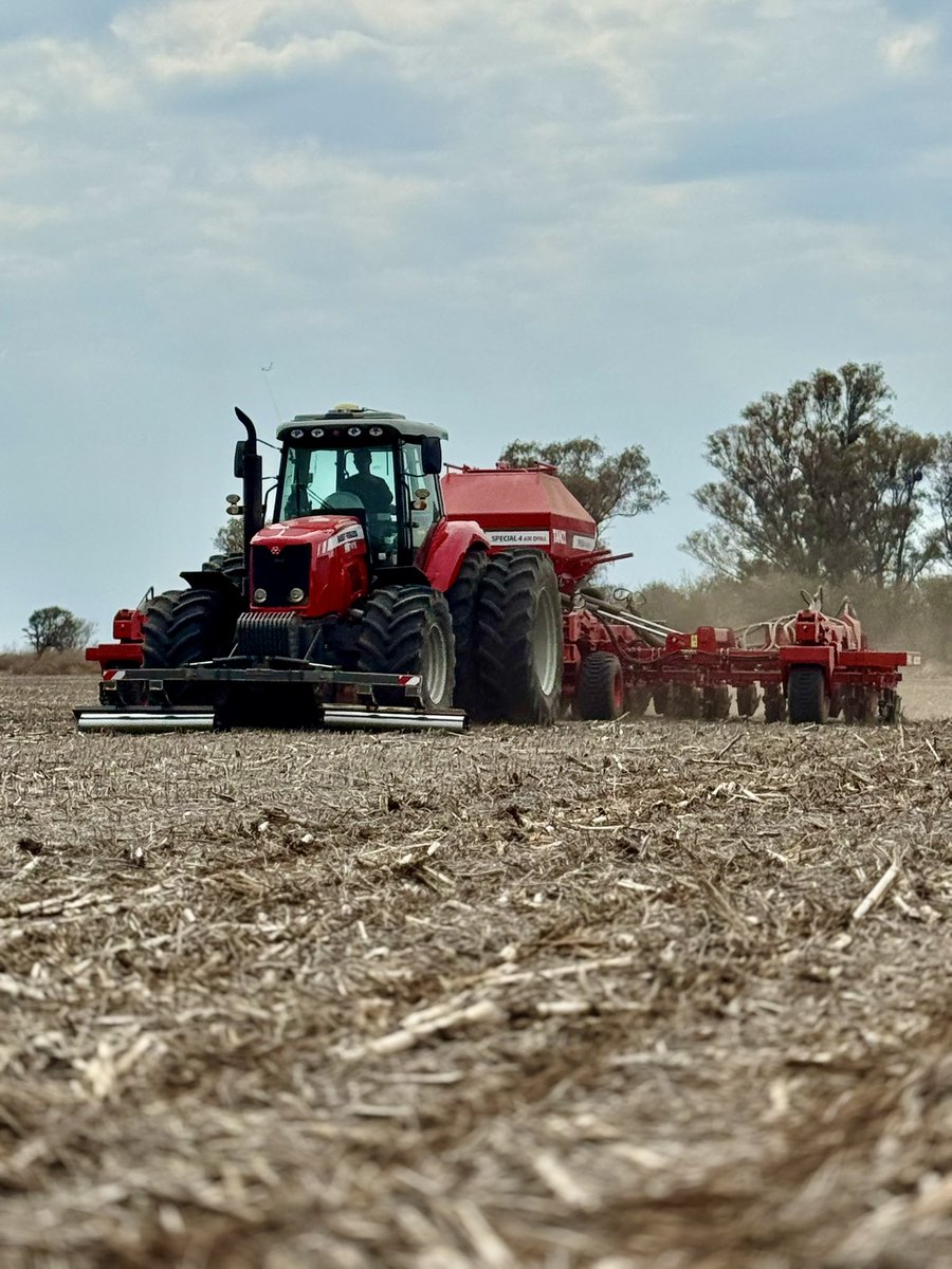 lopezmartin000's tweet photo. 🚜 🌽 https://t.co/8vCFyUEQth