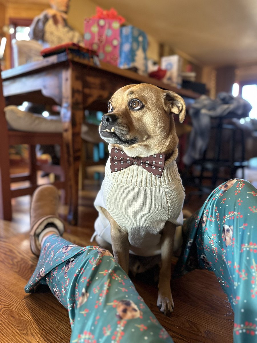 limones de lulu tweet media