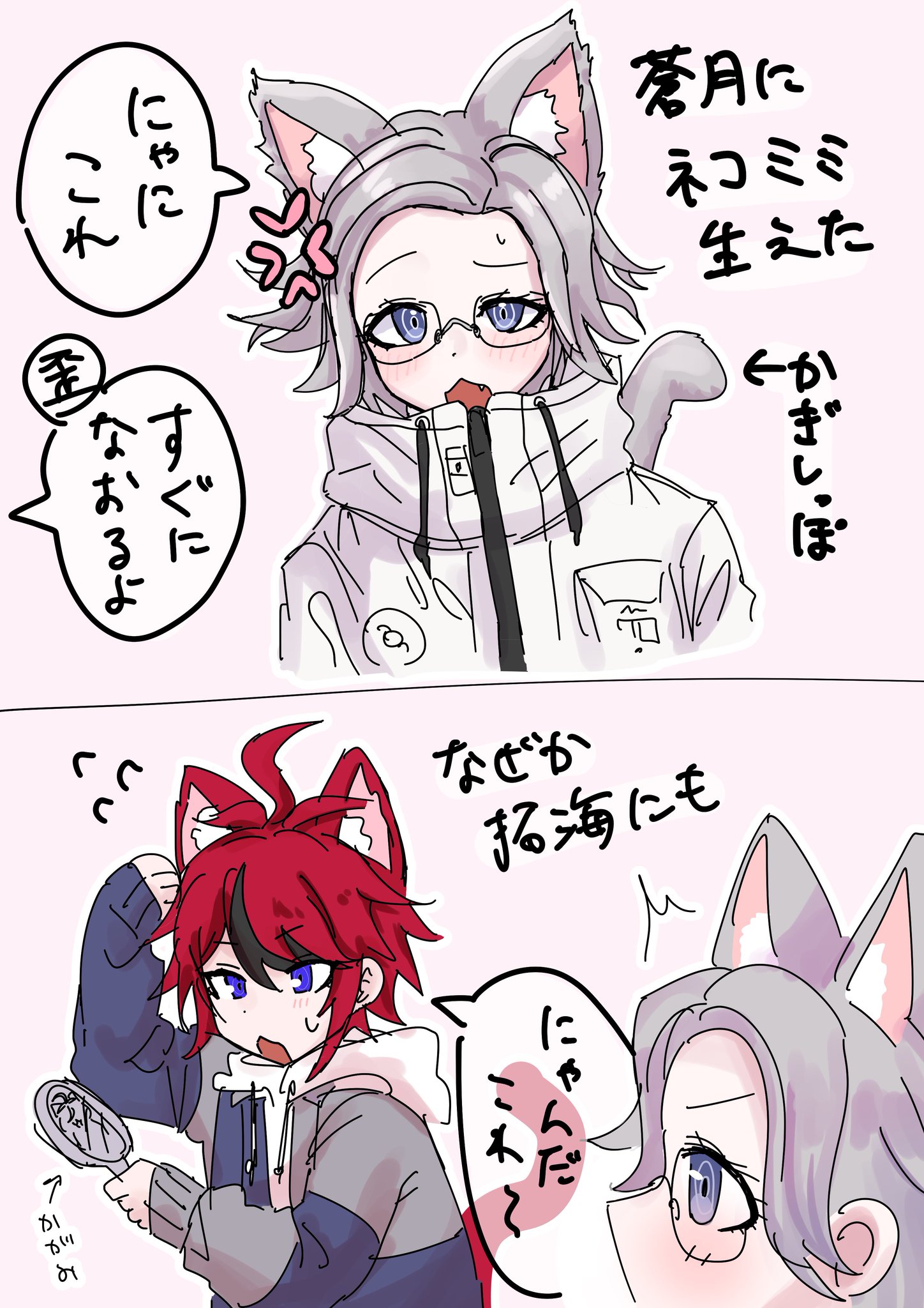 猫だーいすき✨✨ Azuki and Sakura's weight has now matched that of the