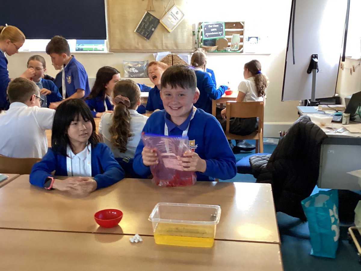 JCAWakefield's tweet image. Year 6 have enjoyed investigating the components that make up our blood and the different functions they have. #circulatorysystem #workingscientifically ⁦@JCA_Science⁩