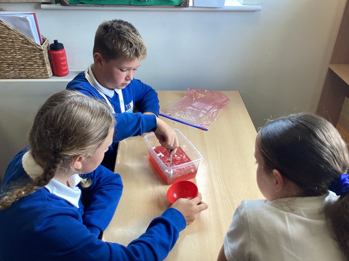 JCAWakefield's tweet image. Year 6 have enjoyed investigating the components that make up our blood and the different functions they have. #circulatorysystem #workingscientifically ⁦@JCA_Science⁩