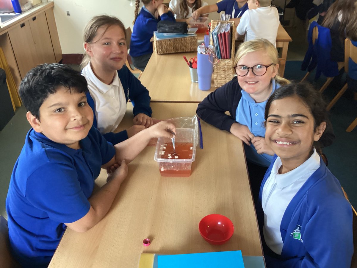 JCAWakefield's tweet image. Year 6 have enjoyed investigating the components that make up our blood and the different functions they have. #circulatorysystem #workingscientifically ⁦@JCA_Science⁩