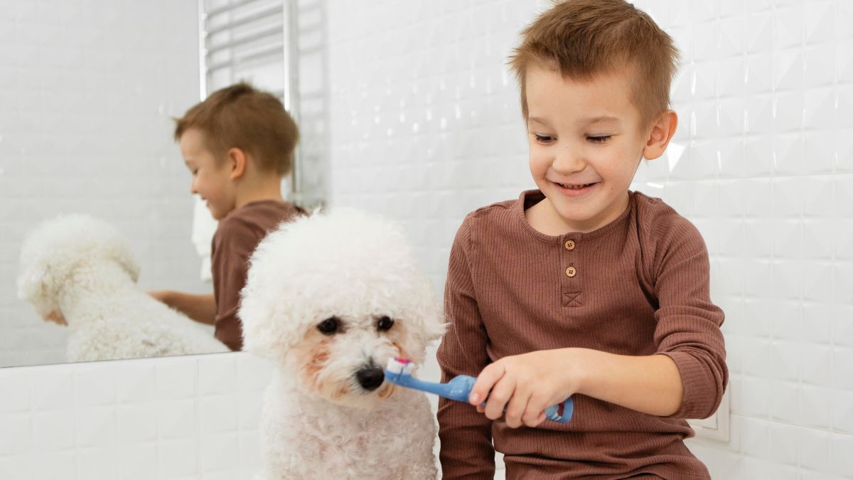 vcanitblog's tweet image. How to Make Homemade Dog Toothpaste for Healthy Teeth
vcanitblog.com/articles/how-t…