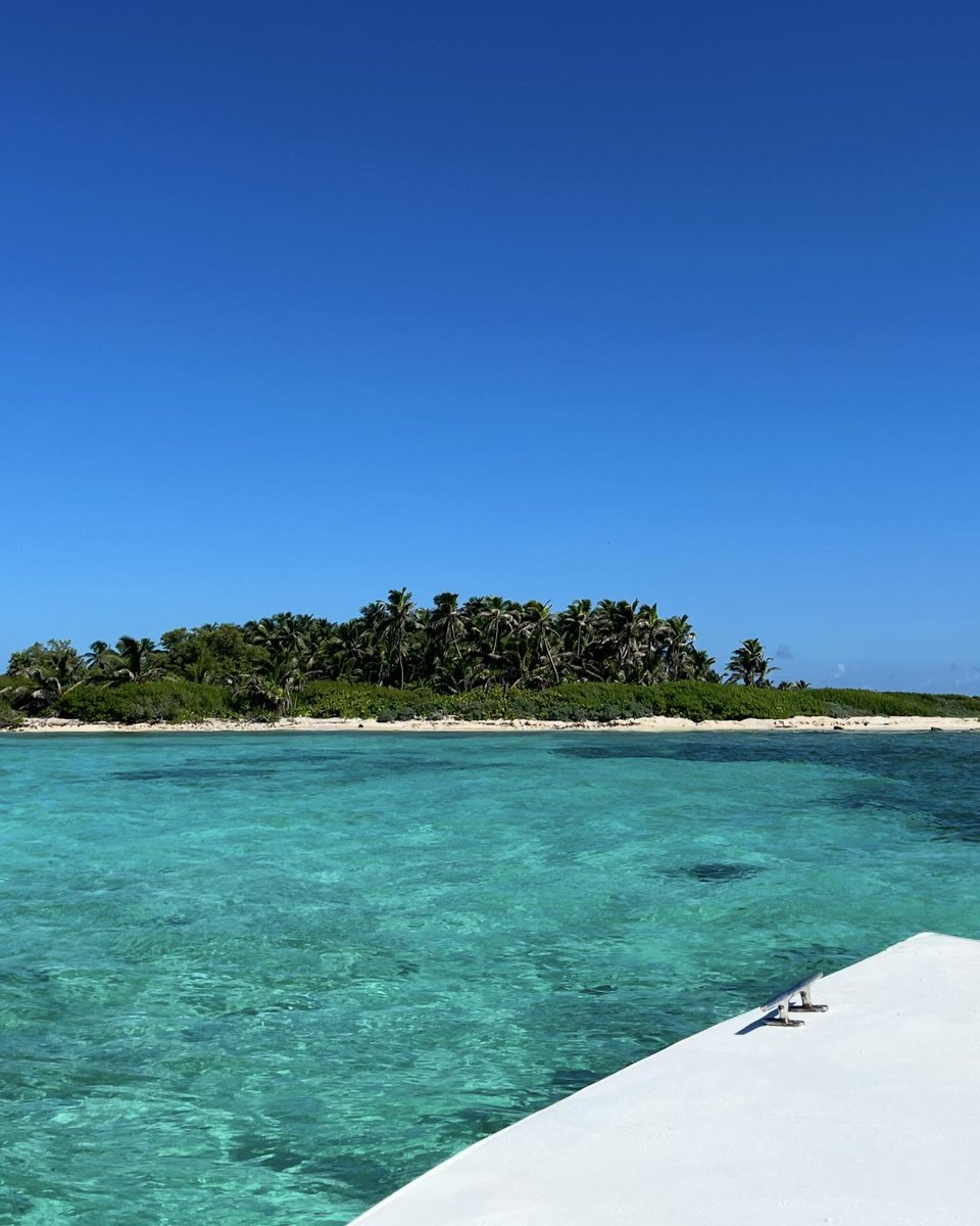 visitacaribemex's tweet photo. Una de las maravillas de visitar un área protegida es su riqueza natural y la serenidad que aquí se respira.
Esto es #IslaContoy. ¡Un paraíso imperdible! 🏖🦢
IG: juditserret
#CaribeMexicano #TheSignatureParadise https://t.co/rgyEWnXu2C