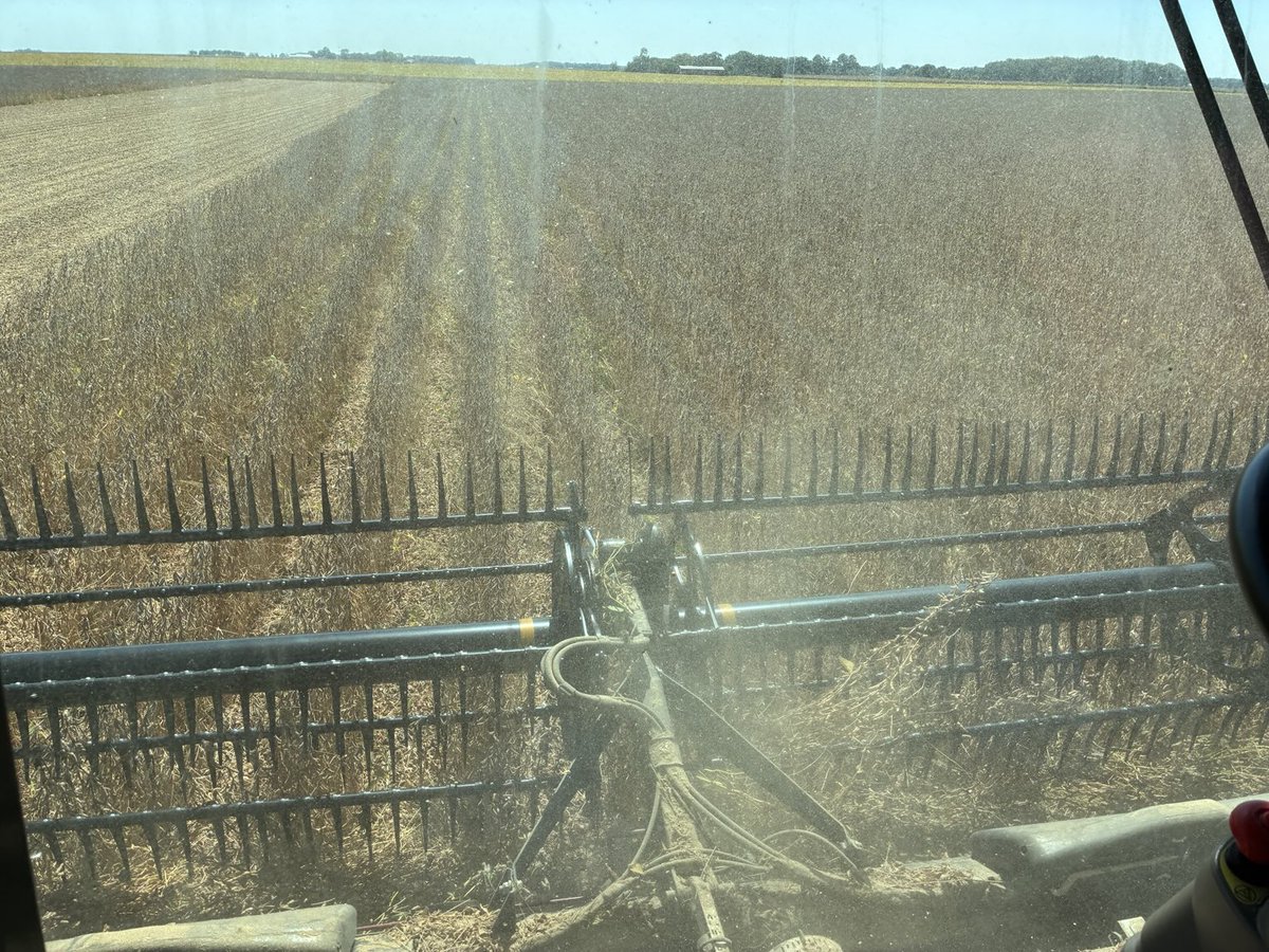 Tom Walsh tweet media